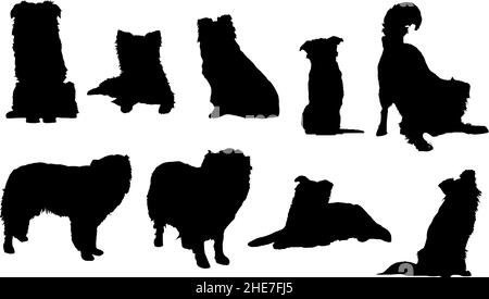 border collie dog silhouette bundle svg Stock Vector