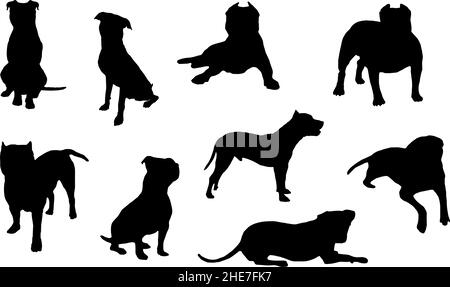 american pitt bull terrier silhouette dog bundle Stock Vector