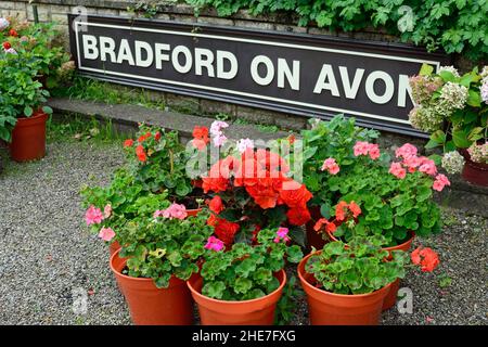 Pot plants on the platform at Bradford-on-Avon railway station, Wiltshire. Stock Photo