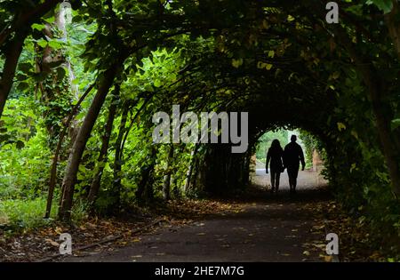 Two People, Couple Silhouetted Walking Through A Tunnel Of Lime Trees Outside Christchurch Priory, Christchurch In Summer, UK Stock Photo