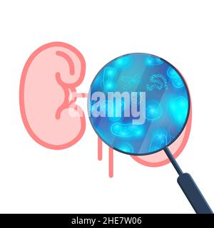 A lot of bacterias and viruses in human heart under magnifying glass on white Stock Vector