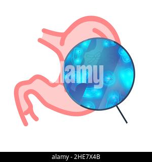 A lot of bacterias and viruses in human stomach under magnifying glass on white Stock Vector