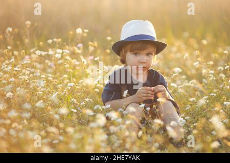 Portrait of sad caucasian little boy 2-3 years old in a straw hat sitting and playing in camomile flowers field on a summer day at sunset  Stock Photo