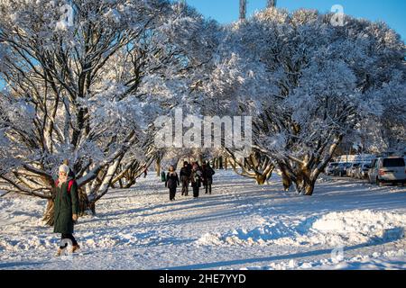 People strolling below snow covered tree branches on a clear winter day in Munkkiniemi district of Helsinki, Finland Stock Photo