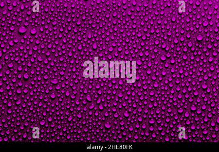 Velvet violet colored rain drops background, water droplet texture Stock Photo