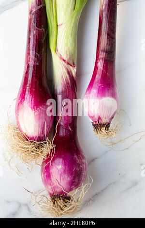 close up of Tropea onions, from Calabria , Italy Stock Photo