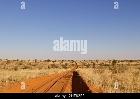Red Sand Dirt Road in the Kgalagadi Stock Photo