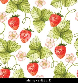 Seamless pattern with flowers, fruits and strawberry leaves drawn in watercolor on transparent background. Stock Vector