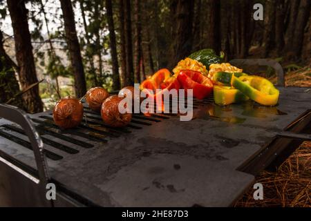 Grilled vegetables of different types and colors on the grill Stock Photo