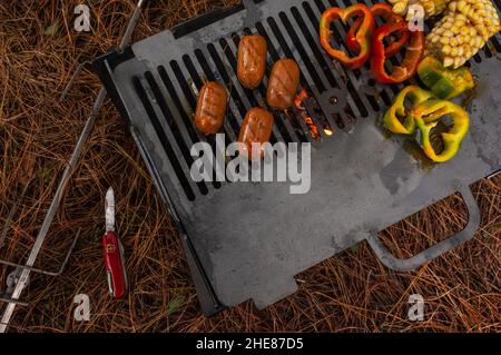 Different types and colors of vegetables and corn on the grill Stock Photo