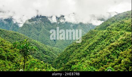 View on foggy death road in the Yungas in Bolivia Stock Photo