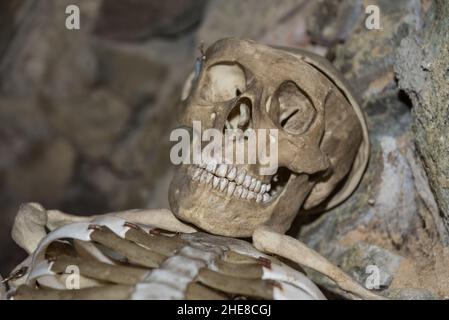 Creepy Skeleton - Bones, Skull And Teeth Stock Photo