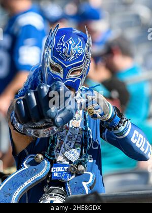 Jacksonville, FL, USA. 9th Jan, 2022. Jacksonville Jaguars quarterback  Trevor Lawrence (16) during 2nd half NFL football game between the  Indianapolis Colts and the Jacksonville Jaguars. Jaguars defeated the Colts  26-11 at