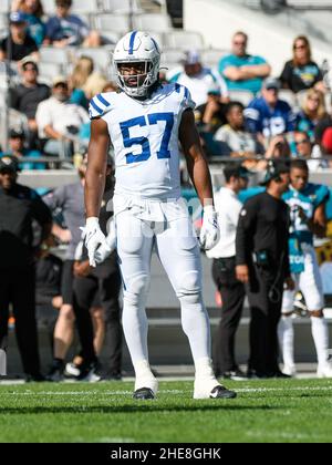 Jacksonville, FL, USA. 9th Jan, 2022. Jacksonville Jaguars quarterback  Trevor Lawrence (16) during 2nd half NFL football game between the  Indianapolis Colts and the Jacksonville Jaguars. Jaguars defeated the Colts  26-11 at