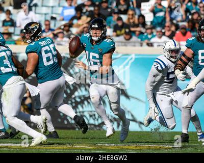 Jacksonville, FL, USA. 9th Jan, 2022. Jacksonville Jaguars quarterback Trevor  Lawrence (16) during 2nd half NFL football game between the Indianapolis  Colts and the Jacksonville Jaguars. Jaguars defeated the Colts 26-11 at