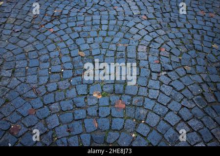 Wet old cobblestone pavement street floor with fallen yellow leaves Stock Photo