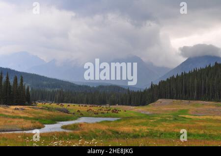 Traveling the country in pickup truck living for free in Colorado Stock Photo