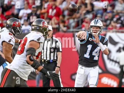 Tampa, United States. 09th Jan, 2022. Tampa Bay Buccaneers quarterback Tom  Brady looks to pass against the Carolina Panthers during the first half at  Raymond James Stadium in Tampa, Florida on Sunday