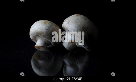 Champignons on a black background. Frame. Two mushrooms isolated on black reflective background Stock Photo