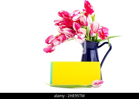 Banch of colorful pink with white  spring tulip flowers on a blue vase and yellow envelope ,  on white a background.  Floral design with a copyspace. Stock Photo