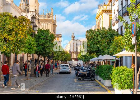 A busy street of cafes and orange trees next to the Great Cathedral of Seville on a sunny autumn day as tourists and Spaniards walk on the sidewalk. Stock Photo