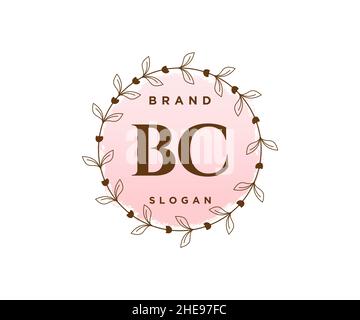 Bc cosmetic on sale