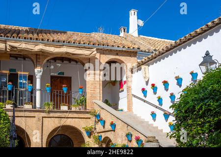 Traditional colorful blue pots and plants on a white wall in the historic center of Cordoba, Spain. Stock Photo