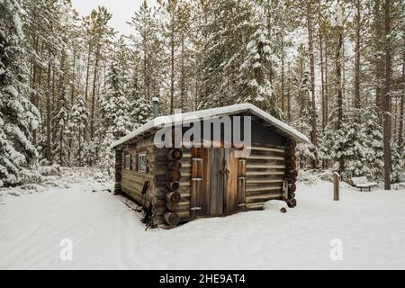 A logging cabin is one of the many exhibits in the Algonquin Logging Museum Stock Photo