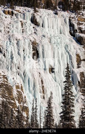 Canada, Alberta, Banff National Park, Ice climbers on frozen Lower Weeping Wall Stock Photo