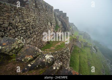 green terraced fields at site of Machu Picchu ruins in Peru Stock Photo