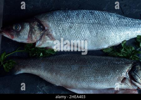 Overhead view of two European sea bass with fresh parsley sprigs on a vintage black slate ready to cook. Fish and healthy food. Stock Photo