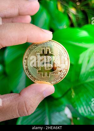 Man's hand holding a golden Bitcoin token coin with green nature background. Stock Photo