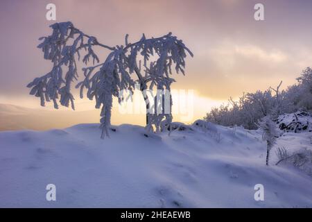 Panorama sunset colored sky winter snow clouds in Slovakia nature landscapes. Mountain sunset sky zoom in peak Vapenna frost. Stock Photo