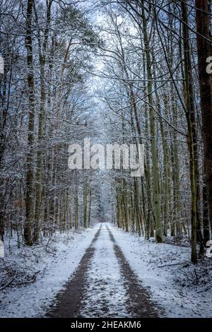 Straight narrow dirt road through plowed agricultural field from drone ...