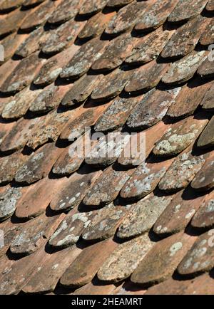 Shallow depth of field (selective focus) details of Transylvanian saxon traditional clay tiles. Stock Photo