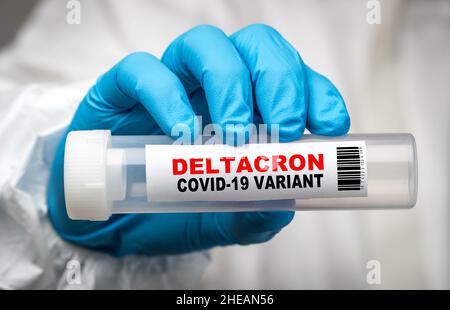 Deltacron Covid 19 variant swab test. Deltacron is believed to be a new strain of Covid combining the Omicron and Delta variants. Stock Photo