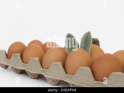 Easter eggs with ears close-up on a white background. Easter concept. Stock Photo