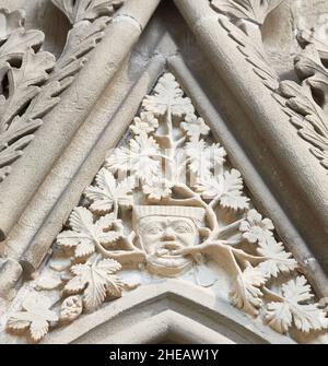 Medieval (thirteenth century) naturalistic carving of a green man on the chapter house wall at the minster in Southwell, England. Stock Photo