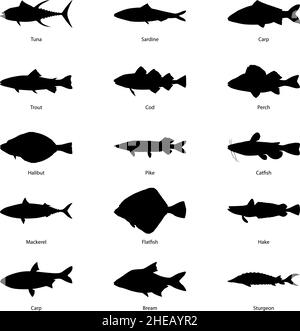 Set of silhouettes of fishes, vector illustration Stock Vector