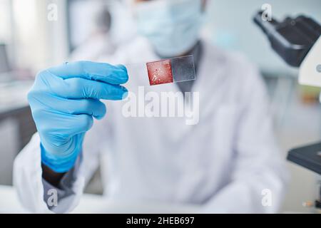 Close-up of scientist in protective gloves holding glass with analysis on it and examining it in the laboratory Stock Photo