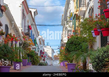 ESTEPONA COSTA DEL SOL ANDALUSIA SPAIN WHITE HOUSES SMALL STREET WITH ABUNDANCE OF FLOWERS IN PURPLE AND RED POTS Stock Photo
