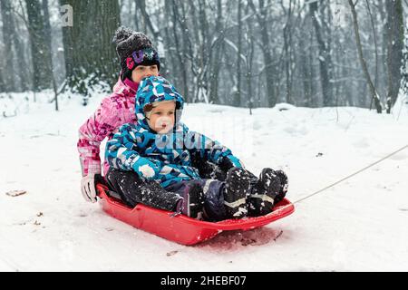 Two cute adorable funny sibling kid friend wear warm jacket enjoy have fun sledging at city park area or forest against cold snowy woods landscape on Stock Photo