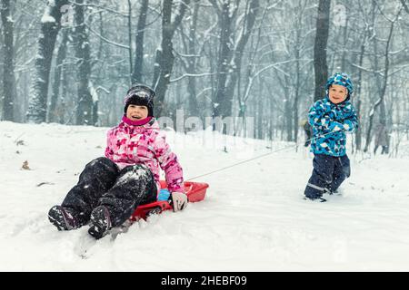 Two cute adorable funny sibling kid friend wear warm jacket enjoy have fun sledging at city park area or forest against cold snowy woods landscape on Stock Photo