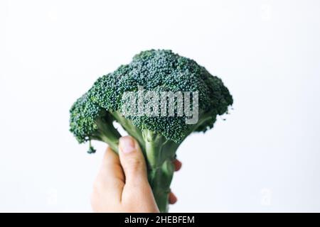 fresh green head of broccoli cabbage in hand on a white background. High quality photo Stock Photo