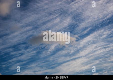single cumulus cloud against a background of cirrus clouds. Stock Photo