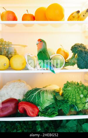 harvest of fresh healthy vegetables on the refrigerator shelf. High quality photo Stock Photo