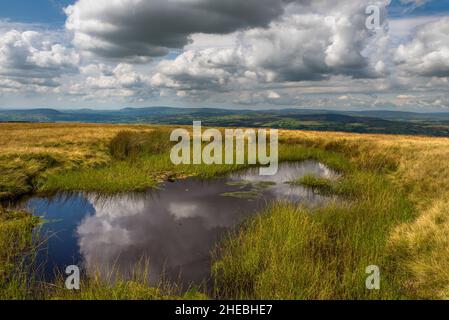 A small tarn on the summit of Pendle Hill in lancashire Stock Photo