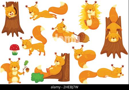 Cartoon squirrel sleeping, cute squirrels with acorns. Funny forest wildlife animal character sitting in tree hollow, holding acorn vector set. Lovely fluffy creature having different activities Stock Vector