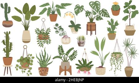 House plants in pots, hanging houseplants, indoor home decor. Potted cactus, succulents, urban jungle plant interior decorations vector set. Stands with flowers in scandinavian style Stock Vector