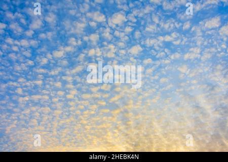 Altocumulus textured clouds in the sunset sky Stock Photo
